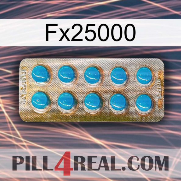 Fx25000 new09.jpg